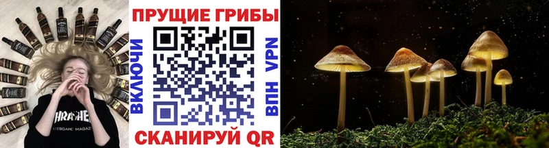 нарко площадка формула Мирный Псилоцибиновые грибы мухоморы гидра зеркало